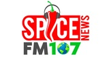Logo Spice FM107