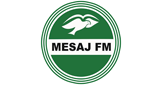 Logo Mesaj FM