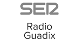 Logo Radio Guadix