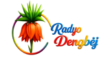 Logo Radyo Dengbej
