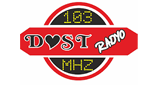 Logo Dost Radyo