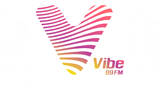 Logo Vibe 89 FM