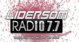 Logo Lidersom