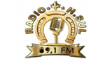 Logo H. Sul FM