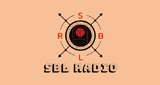 Logo Stereobeatlive