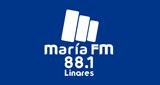 Logo Radio Maria FM 88.1