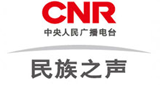 Logo CNR National Voice