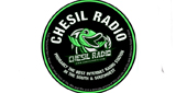 Logo Chesil Radio