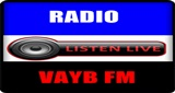 Logo RADIO VAYB FM