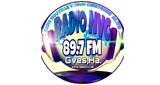 Logo Radio Nouvelle Vision Chretienne des Gonaïves