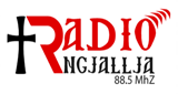 Logo Radio Ngjallja