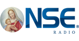 Logo NSE Radio