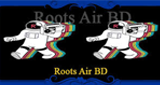 Logo Roots air