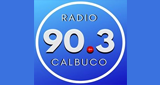 Logo Radio Calbuco Fm 90.3 Mhz