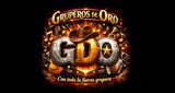 Logo Gruperos de Oro Radio