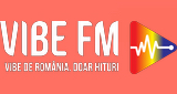 Logo Vibe FM