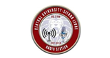 Logo CUSL RADIO MILE 91