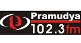Logo Radio Pramudya FM
