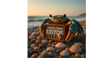 Logo Punta Cana Exitos
