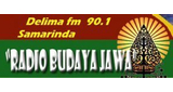 Logo Delima FM