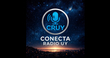 Logo Conecta Radio uy
