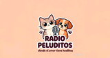 Logo KPOP Urban FM
