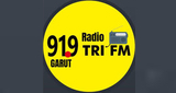 Logo Radio Tri FM
