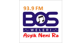 Logo Radio Bos FM