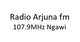 Logo Radio Arjuna FM