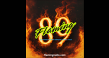 Logo Flaming 89