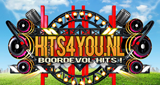 Logo Hits4you