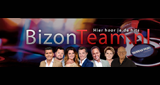 Logo Radio BizonTeam