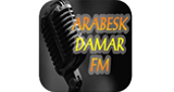 Logo Arabesk Damar Fm