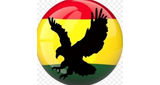 Logo GTOP Radio (Ghana Top Radio)