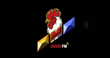 Logo Jogoo FM