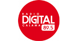 Logo Digital FM