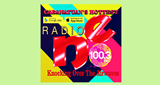 Logo Radio NE FM 100.3