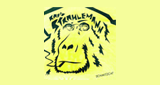 Logo Radio Strahlemann