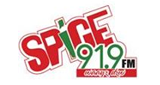 Logo Spice