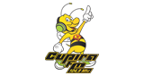 Logo Rádio Cupira FM