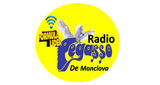 Logo Radio Pegasso De Saltillo