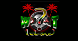 Logo WHAT?! Island