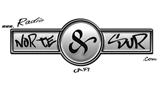 Logo RadioNorteySur