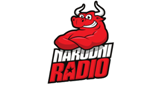 Logo Narodni radio Zenica
