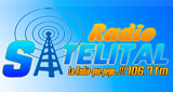 Logo Radio Satelital