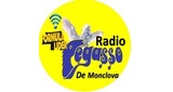 Logo RADIO Pegasso De Monclova