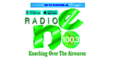 Logo Radio NE FM100.3