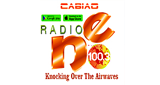 Logo Radio NE FM100.3
