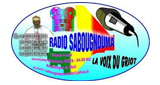 Logo Radio Sabugnouma Fm