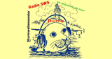 Logo SturmWellenSender-retro